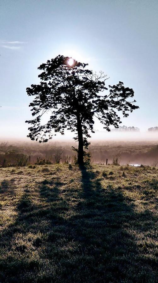 B&Bslapenopeeneiland Kaag Zewnętrze zdjęcie